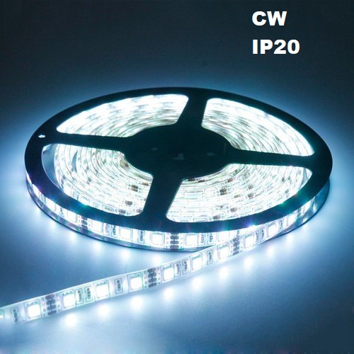 LED Lenta DC12V  60LED/m  4.8W  LED Lente CW  IP20  5m 350Lm/m