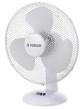 FANS