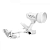 DL9W