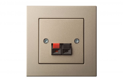 IGL2-01 E/Ch Loudspeaker socket 2 clamps without frame