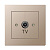 ITVL1-01 E/Ch TV EPSILON TV  ligzda bez rāmja,šamp