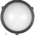 LED  CEILING AND WALL LIGHTS